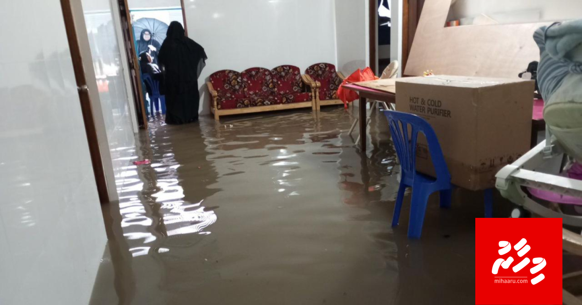 Medhunukendi 2 gadi iru vandhen vehunu vaare aa eku, Henbadhoo fenu adeegai!