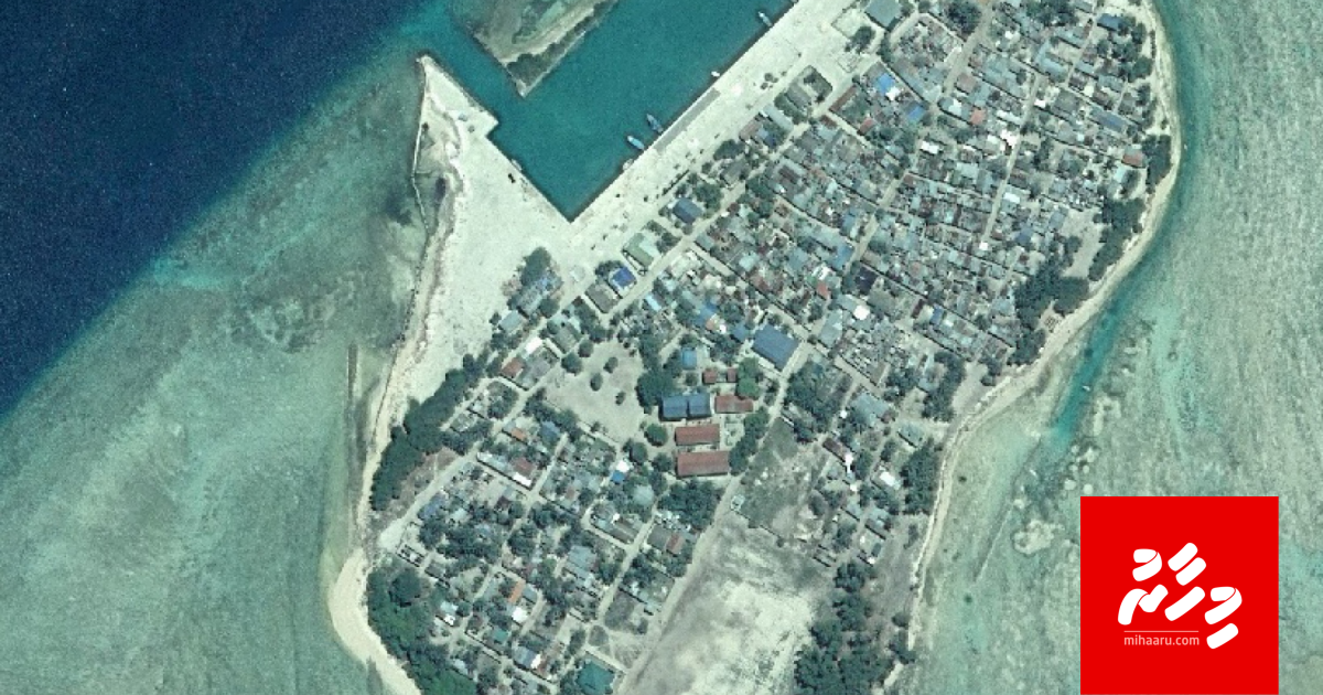 Thimarafushi gai group eh geakah vadhe maaramaaree hingaifi