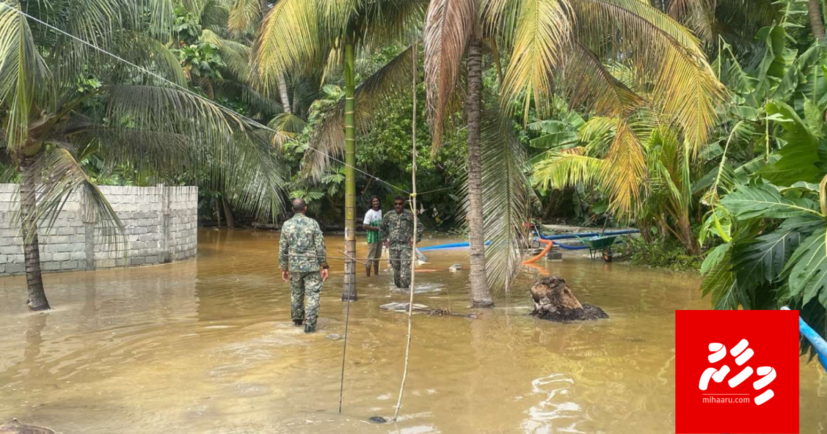 6 rasheh gai fen bodu vegen sifain harakaaiytheri vanee