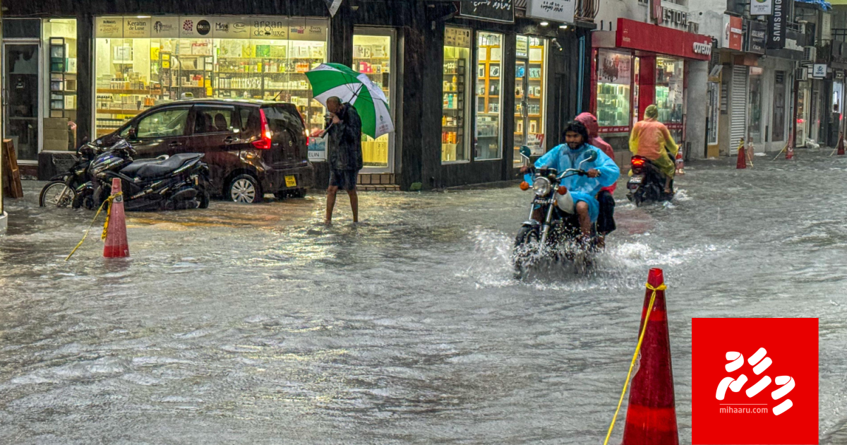 Kuriah oiy 48 gadi iru moosun dhaanee rangalhu vamun: MET