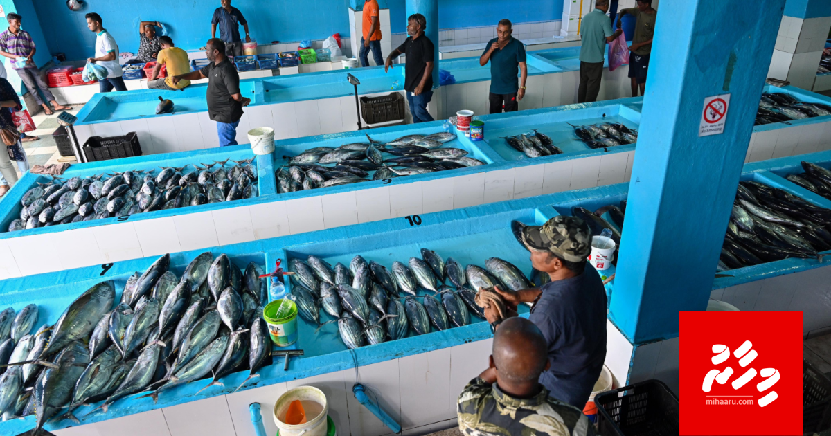 Fiyoree gai mas kaaruhaanaa eh hadhan anna mahu China ge bayakaa eku soi kuranee