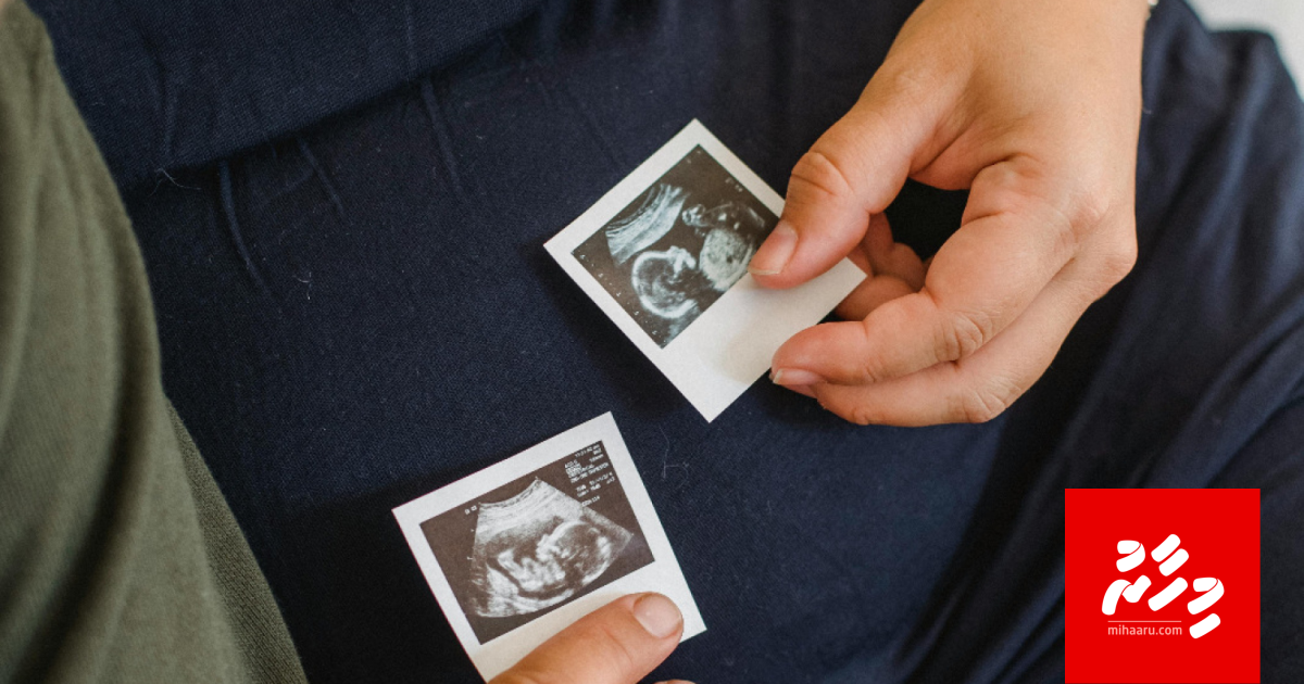 Maternity leave gai dharifulhu maruviyas chuttee libey goiy hadhan court ah dhanee