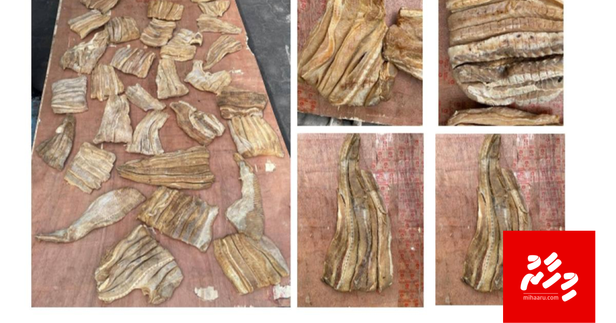 Raajjein beyru kuran ulhunu bai ton ge Miyaraai madimas hifahattaifi