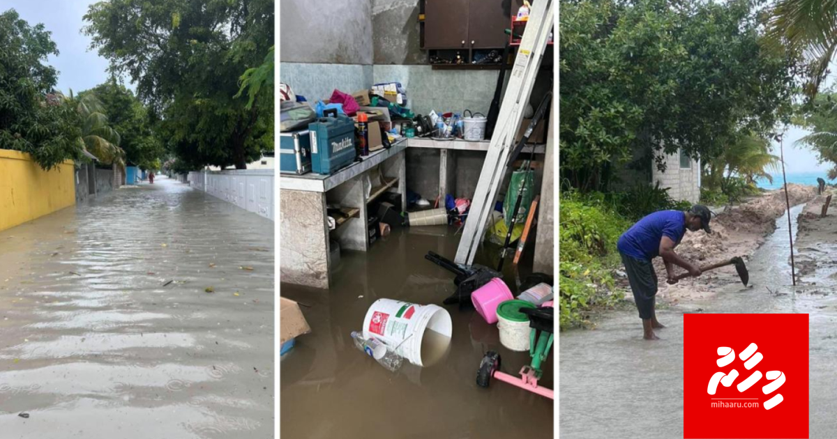 24 gadi iru emme boakoh varey vehunu kamuge record Kelaa ah; 231mm ge vaarey