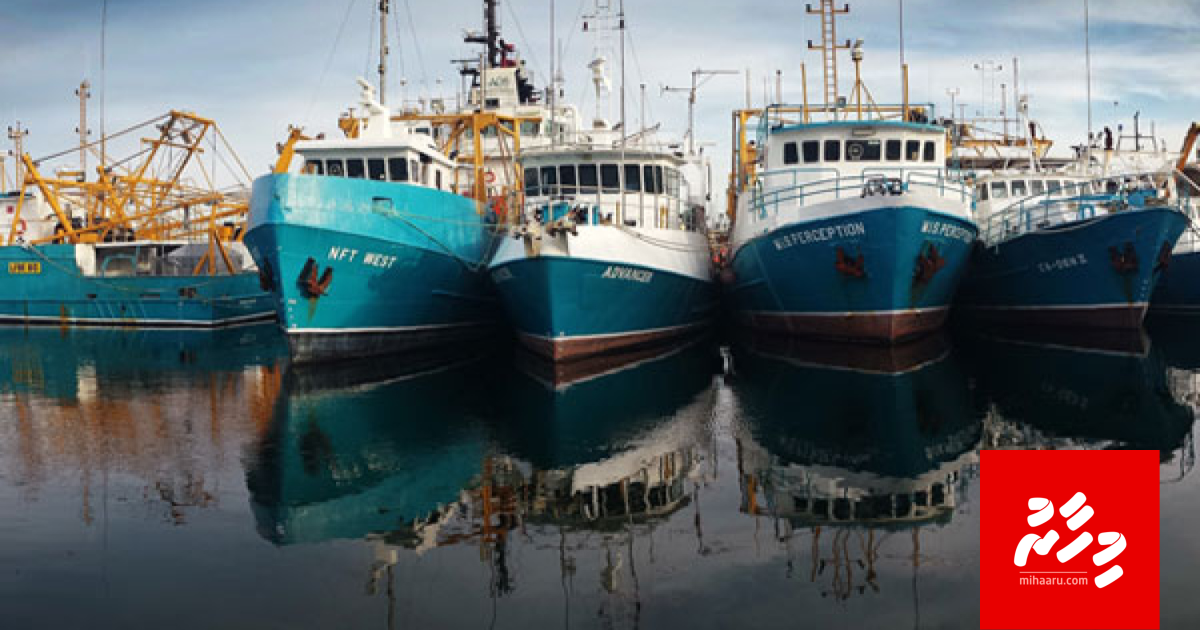 Yacht eh gai Raajje ah 21 million rufiya ge hashish oil ethere kuran ulhunu 4 meehaku athulaigenfi