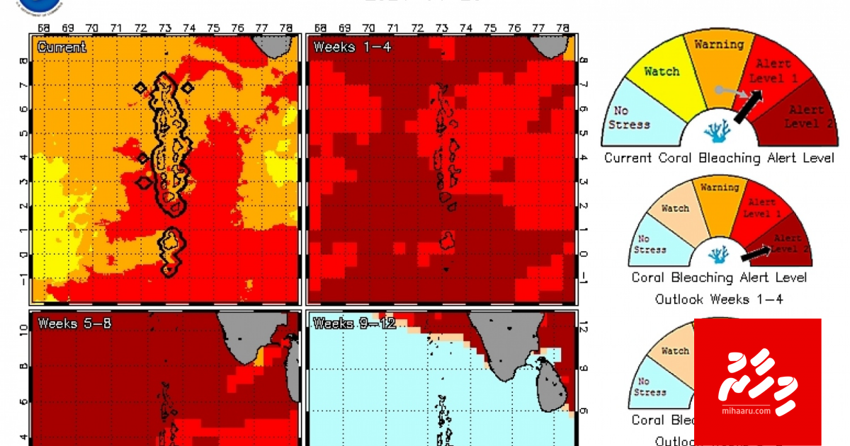 Gaa hudhuvun emme nurakkaatheri dharaja ah aran fashaifi