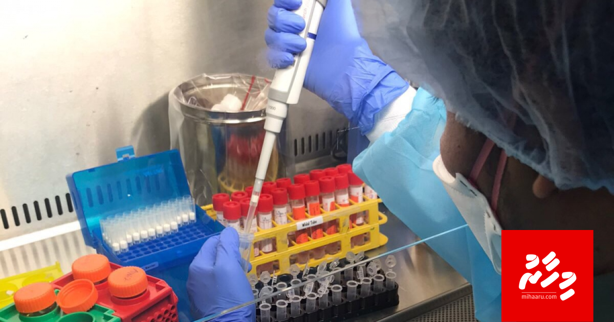 Ithuru gadeege faisaa nudhee ithurah masakaiy nukuruvan govaalaifi