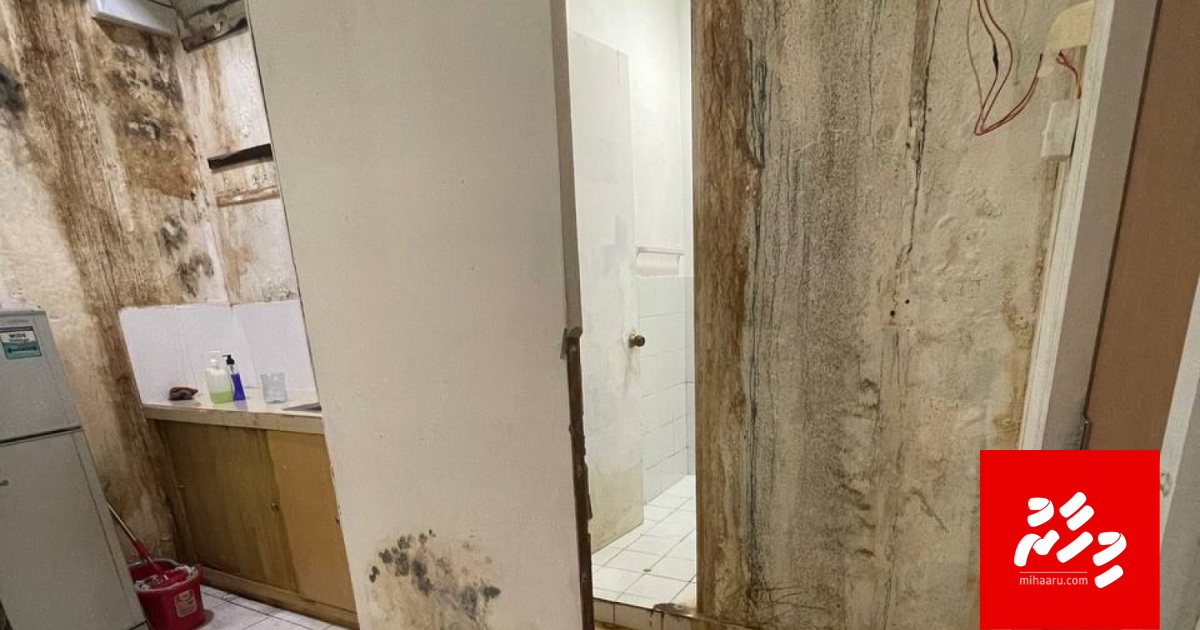 Icom ge ofeehugai foo jahaafai, masakkaiy kuranee 2 shift akah