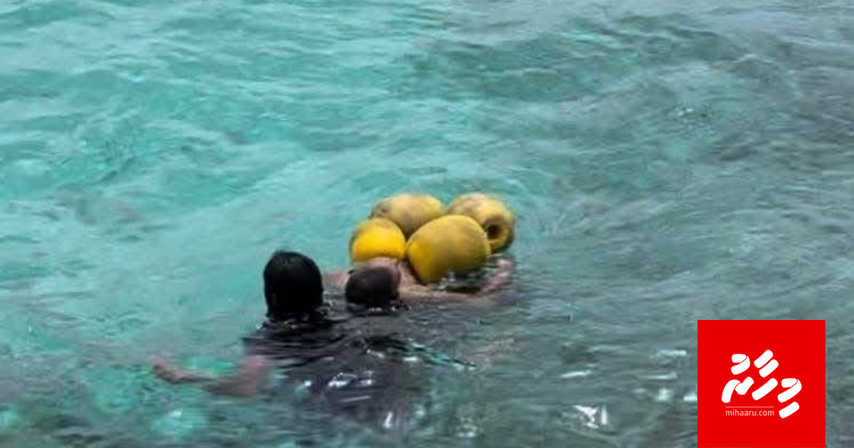 Genbeythan fenigen salaamaiy kohdhinee surfin champion Fuku