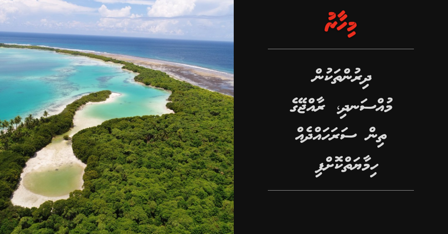 Dhirunthakun mussandhi, Rajjey ge thin sarahadhdheh himaayaiy koffi