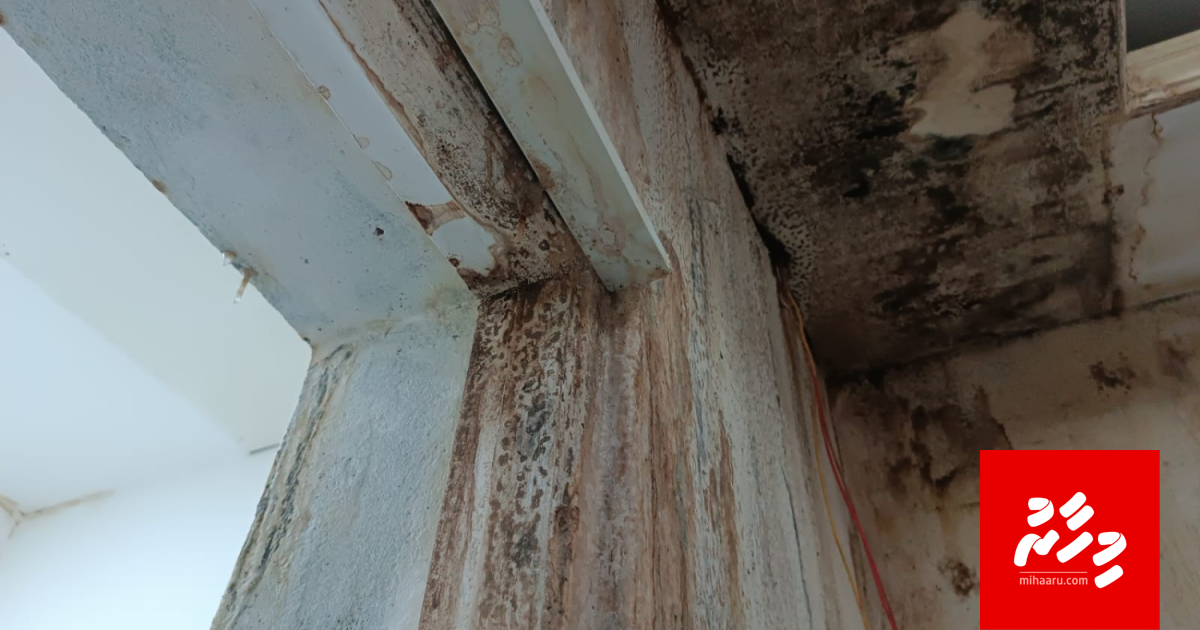 Icom office hingaa imaaraathuge haalathu varah bodah goasve, muvazzafun ge ah!