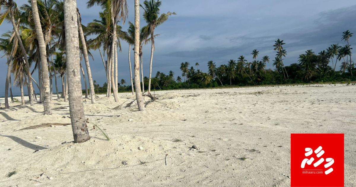 Hankede mashroou aa gulhigen Nizar ge kanboduvun, vidhaalhuvee massala akee dhekolhu nujehey siyaasathu kamah