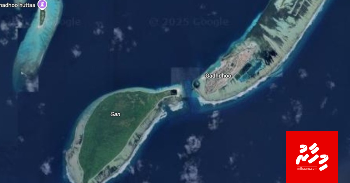 Dhingy eh gai dhathuru kuri meehaku gelligen hoadhanee