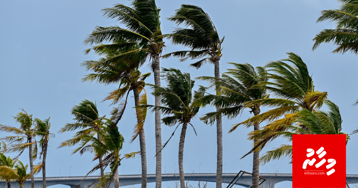 Hafthaa bandhugai visaara kuraane: MET