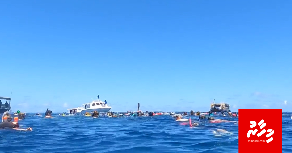 Singapore kujjaa maruvee moodhugai ovvai dhoni fahathah jessumun burafatheegai thaashivegen