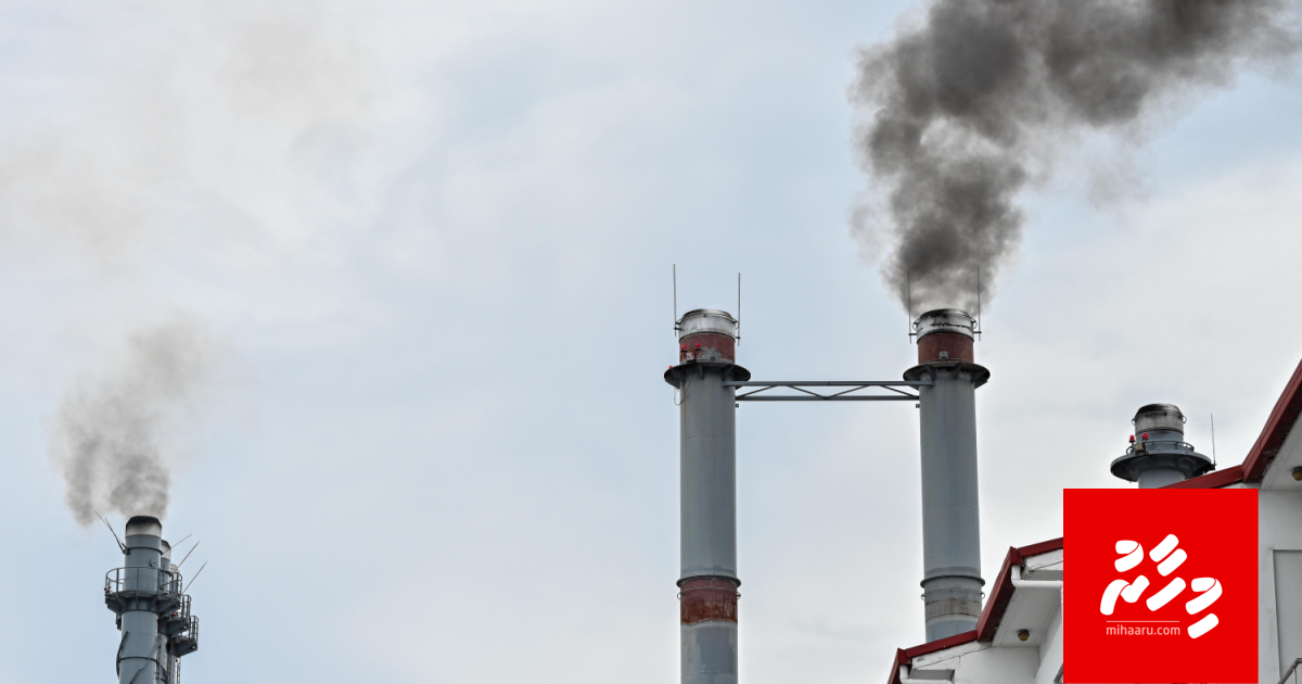 5 gadi iru fahun mulhi Male ah current dheefi