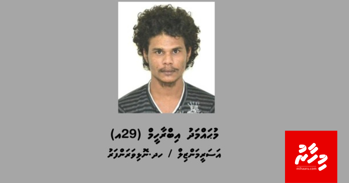 Maavashu meeheh ge karah valhi harai maraali meeha hayyaru koffi