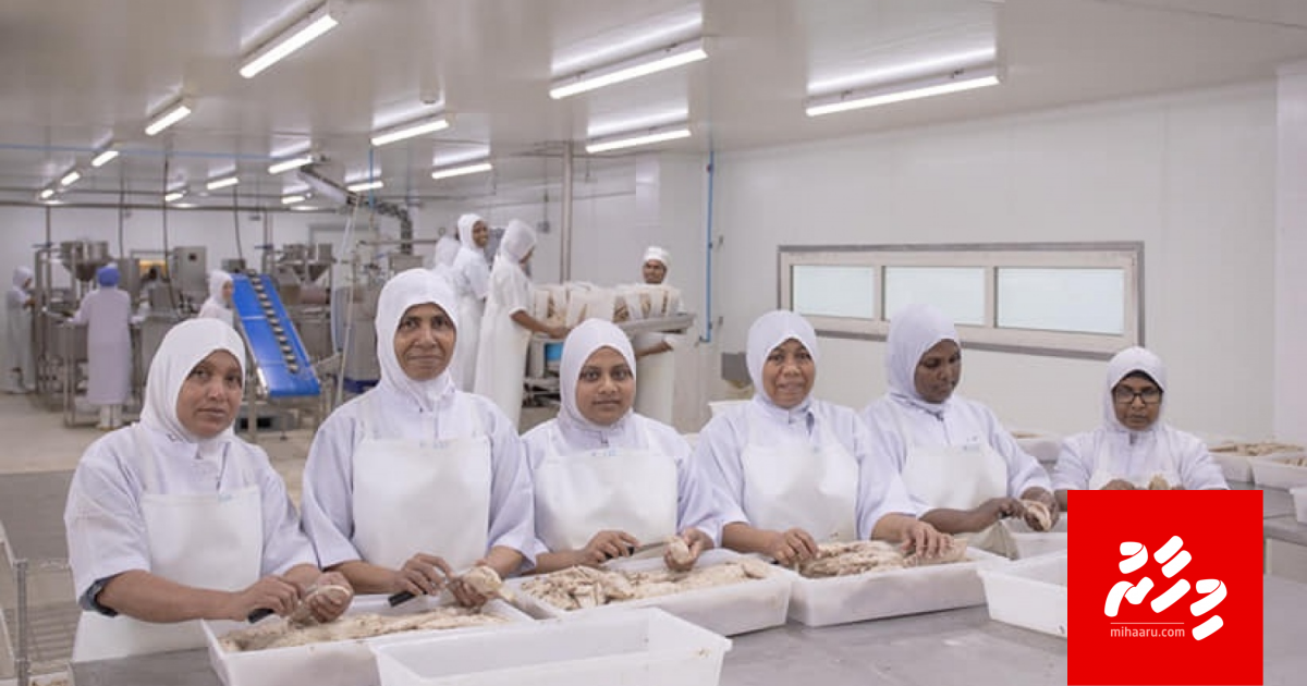 Ensis ge cannery ah 2 aharu furun faahaga koffi