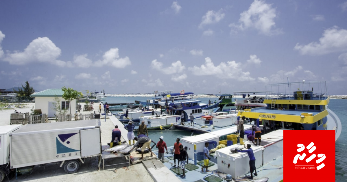 Rf25 ge magun mas ganeven nethigen Ensis in mas gathun huttaalaifi