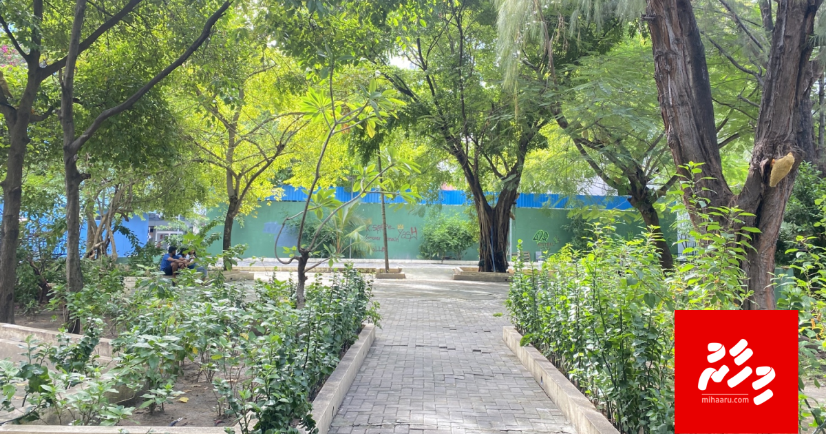 Munifoohifiluvumaai kulhivaru kulheveyne gothah City park tharagee kurane bayaku hoadhanee