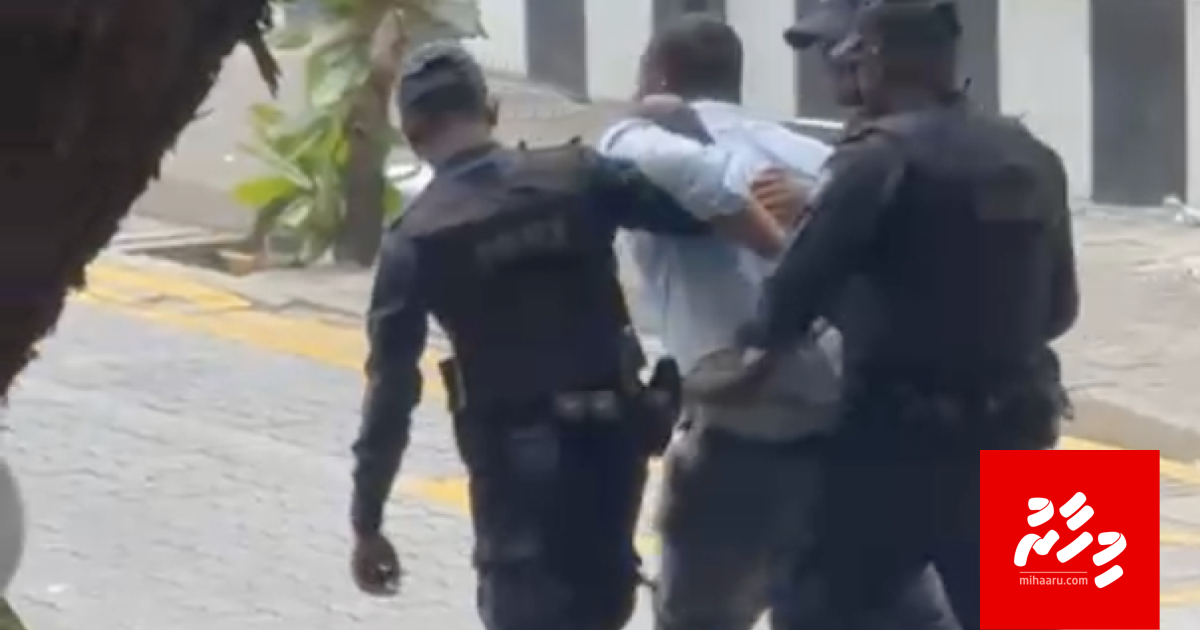 Media bill aa dhekolhah kuraa muzaaharaa in Leevan hayyaru koffi