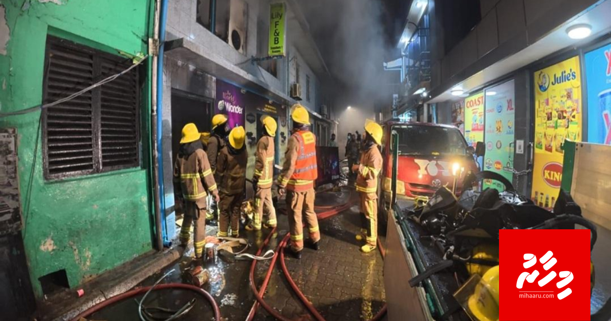 Lily ge fihaaraigai roave bodu gellumeh