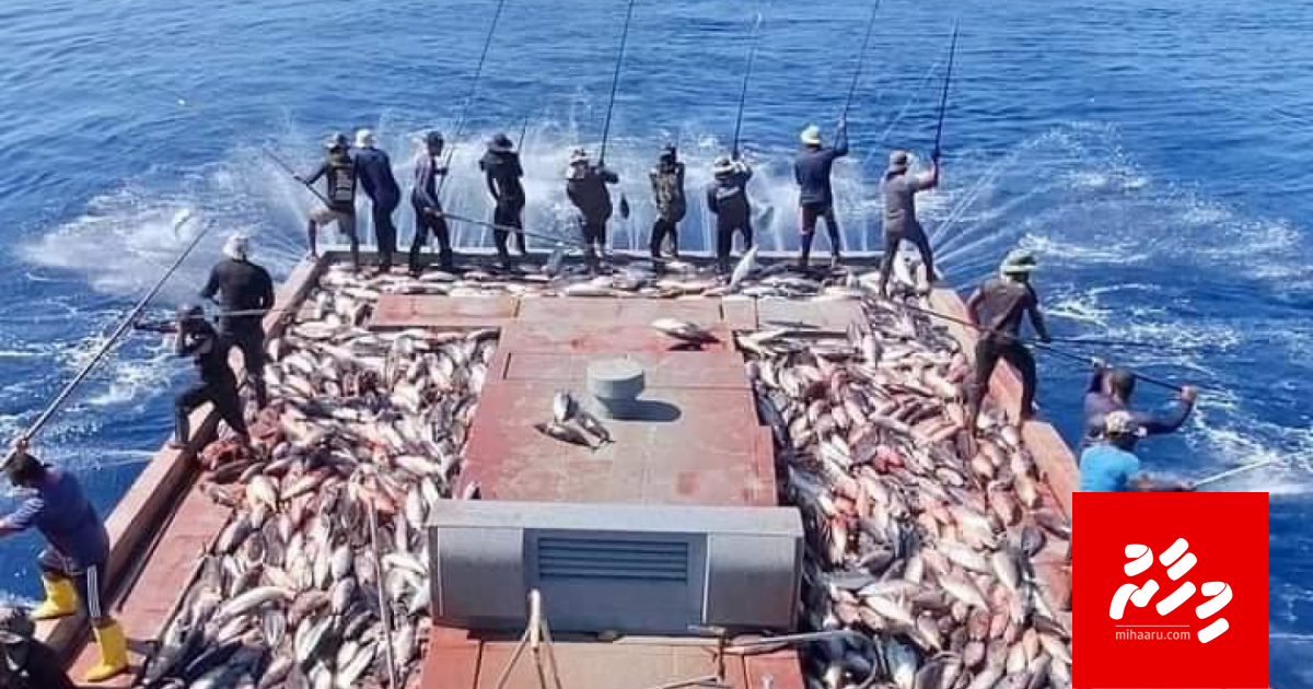 Mass ganna agu bodukuraathee exporterun ge kanboduvun