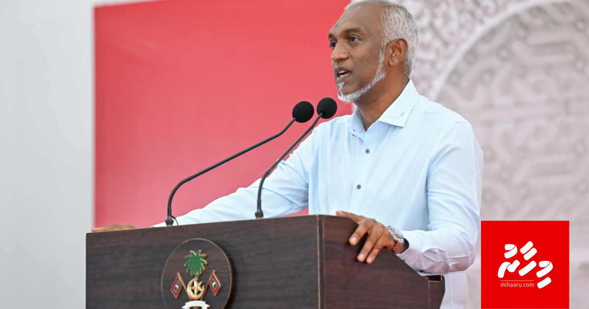 Gavaidhun beyrun viyafaari kuraa bidheyseen hoadhaa operation gai 25 dhuvahun 340 bidheyseen Deport koffin: Raees