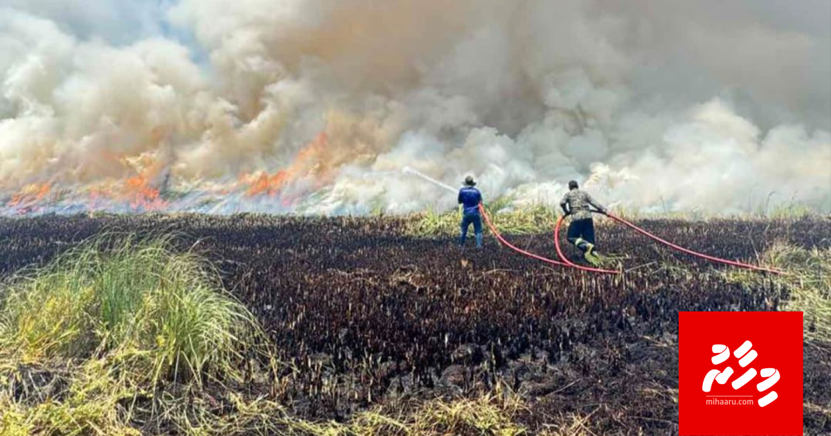 Addu ge reethi Eco Garden andhaalai alhiyah hadhaifi
