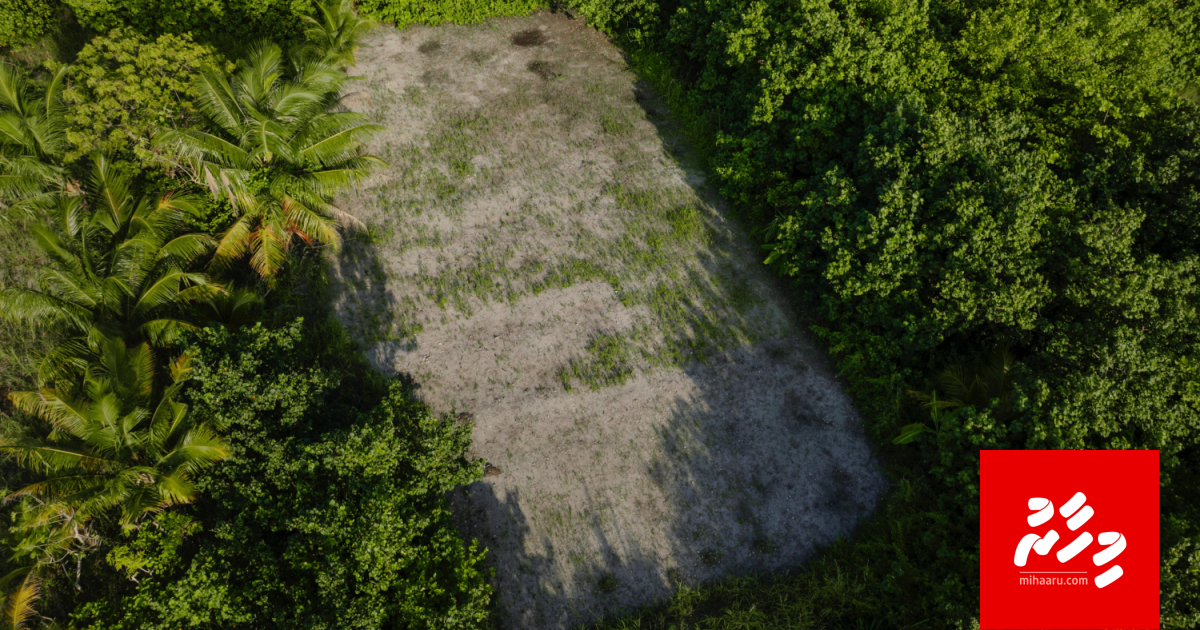 HDC inn 1 million gas indhan Gamugai nursery eh hadhanee