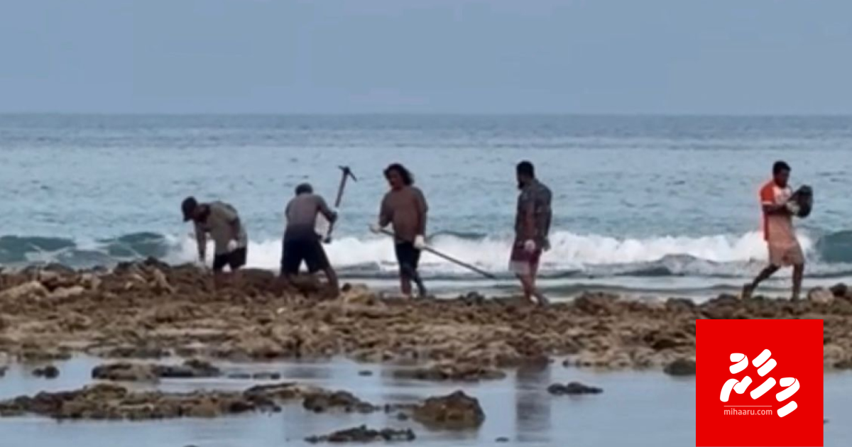 Hulhumale farah bayaku gellun dheefi