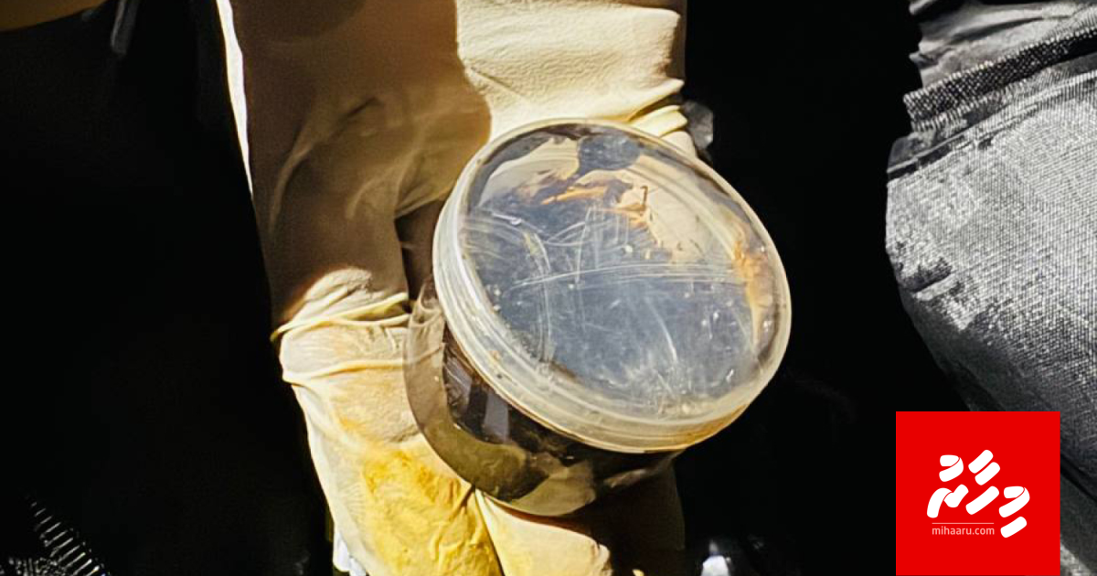 OPERATION ALIMAGU: emmennakee viyafaareegai ulhey meehun