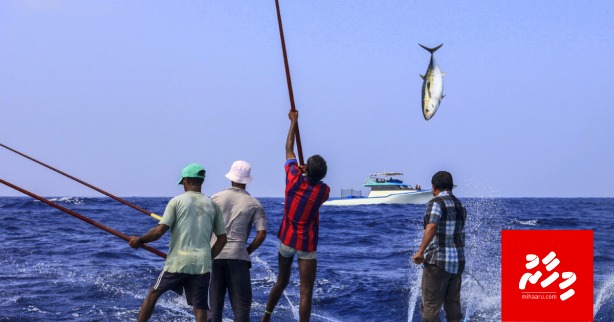 Masverikamugai baiverinuvaa gothah dhoanithakugai bidheyseen gengulheveyne: Ministry