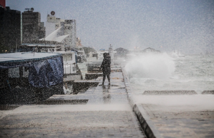 އުދަ އަރާފާނެތީ ސަމާލުވާން މެޓުން އެދެފި