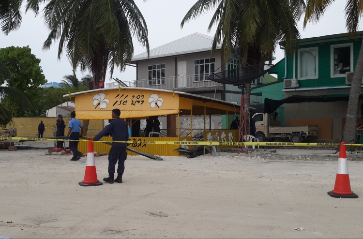 ދައުލަތުގެ ބިންތަކުގައި ހުރި ޖަގަހަތައް ރޫޅާލަނީ