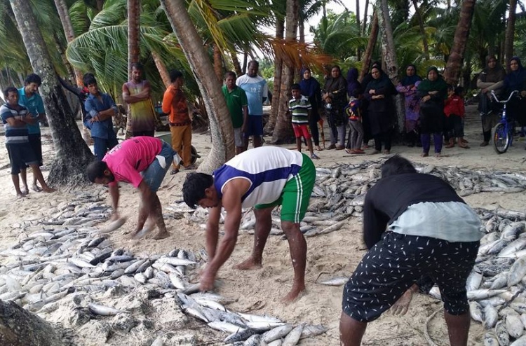 ބުރުންޏަށް 7000 ރާގޮނޑި، ލައްކައެއްހާ ރުފިޔާ!