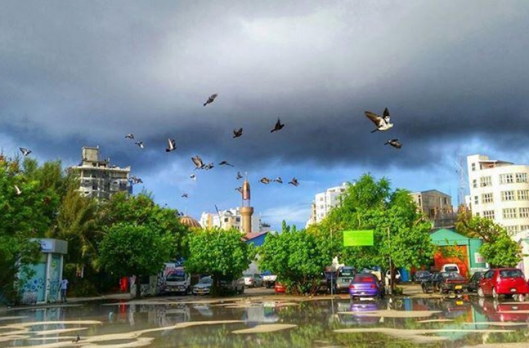 ކާނިވާގައި ހުރި ކަޑަތައް ނުނަގަން ނިންމައިފި