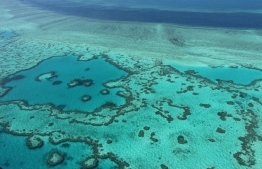 TO GO WITH AFP STORY BY LAURENCE COUSTAL (FILES) This file photo taken on November 20, 2014 shows an aerial view of the Great Barrier Reef off the coast of the Whitsunday Islands, along the central coast of Queensland. Coral reefs, that the Tara Pacific expedition go study on May 28, 2016 in the Pacific, are "half animal half plant and risk a lot with climate change.
Sarah Lai / AFP