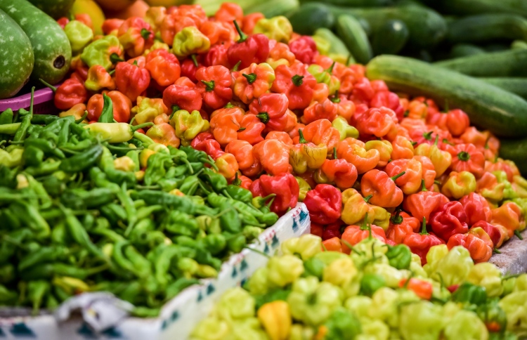 "މިރުހުގެ އަގު މާރުކޭޓުގައި ކޮންޓްރޯލެއް ނުވާނެ"