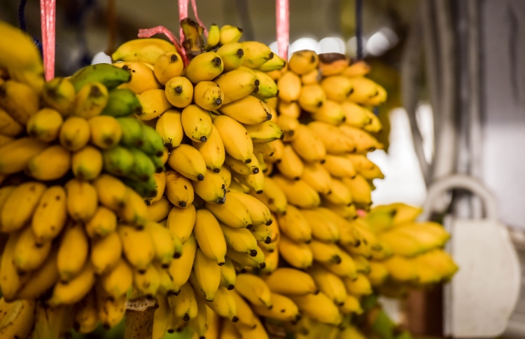 މޫނު ރީތިކުރާށާއި ދަތް ހުދުކުރަން ވެސް ދޮންކެޔޮ ތޮށި