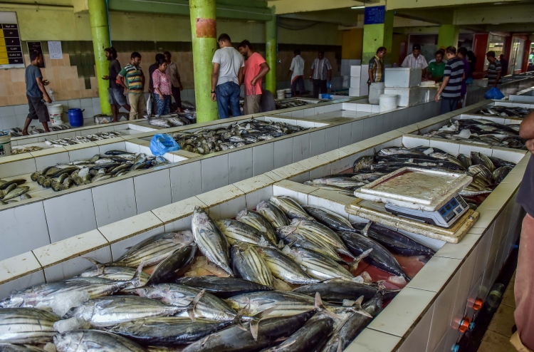 20،000 މެޓްރިކް ޓަނުގެ މަސް އެކްސްޕޯޓް ކޮށްފި