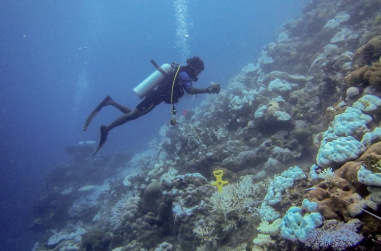 ގާހުދުވުމުގެ މައްސަލަ އޮތީ ނުރައްކާތެރި ހާލަތެއްގައި