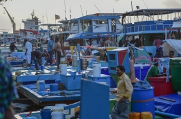 Local fishig vessels docked at Fish Market harbour to unload the days catch. PHOTO: MOHAMED SHARUHAN