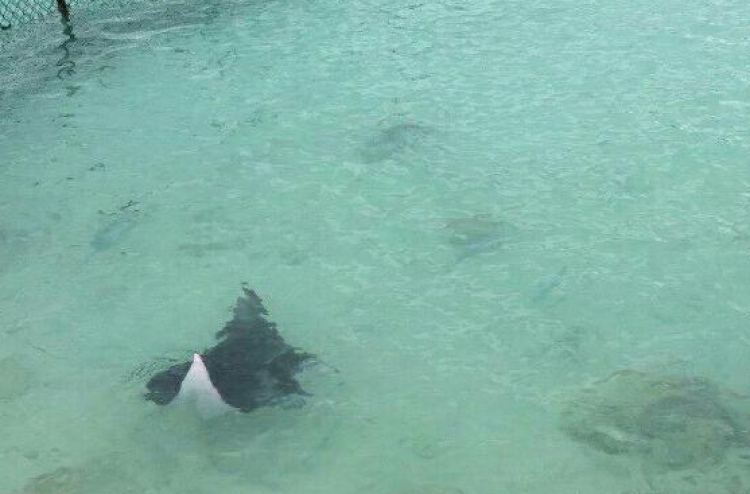 ފުނަދޫގައި އެންމަޑިއެއް ގެންގުޅުނު މައްސަލަ ހޫނުވެއްޖެ