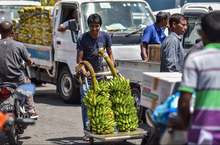 ރެމިޓެންސް ޓެކްސް: ޝަކުވާ، ތައްޔާރުނުވެވުމުގެ ނުރައްކާ