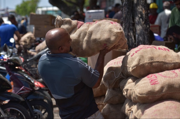 އަލުވި ބަސްތާއެއްގެ އަގު 500ރ. އަށް އަރައިފި