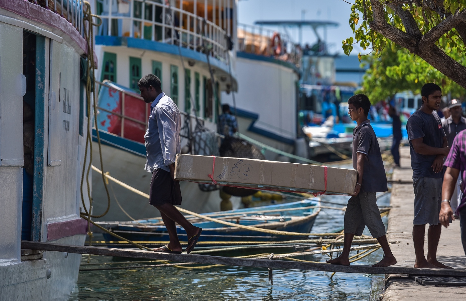 ލޯކަލް މާރުކޭޓު ސަރަހައްދުގައި ބަނދަރުކޮށްފައިވާ ދޯންޏަކަށް ދެ ބިދޭސީން މުދާ ބަރުކުރަނީ: ބިދޭސީ މަސައްކަތު މީހުން ގެންނަ ގިނަ އެޖެންސީތައް ހަރަކާތްތެރި ނޫން ކަމަށް އިކޮނޮމިކް މިނިސްޓްރީން ބުނޭ.-- ފޮޓޯ: ނިޝާން އަލީ/ މިހާރު
