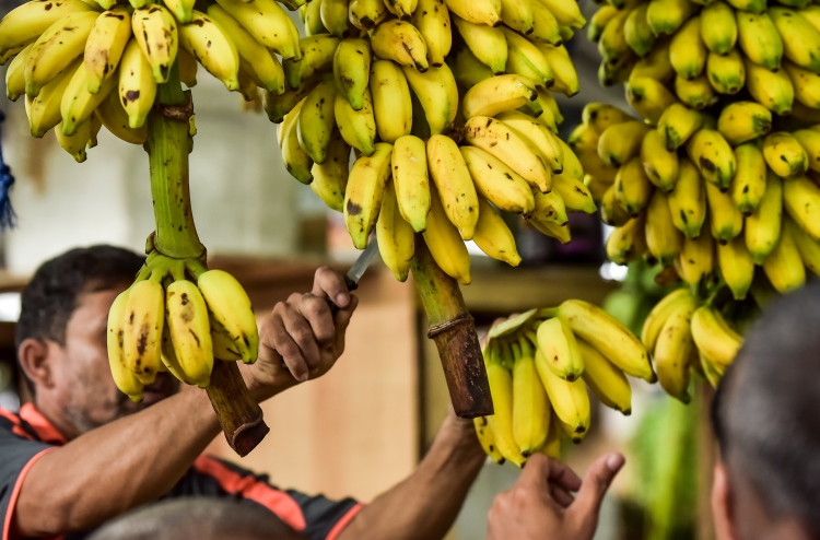 އުގެއިލްގެ ހަދިޔާ: ކާނާގެ ބާވަތްތަކުގައި ވެސް ކެމިކަލް