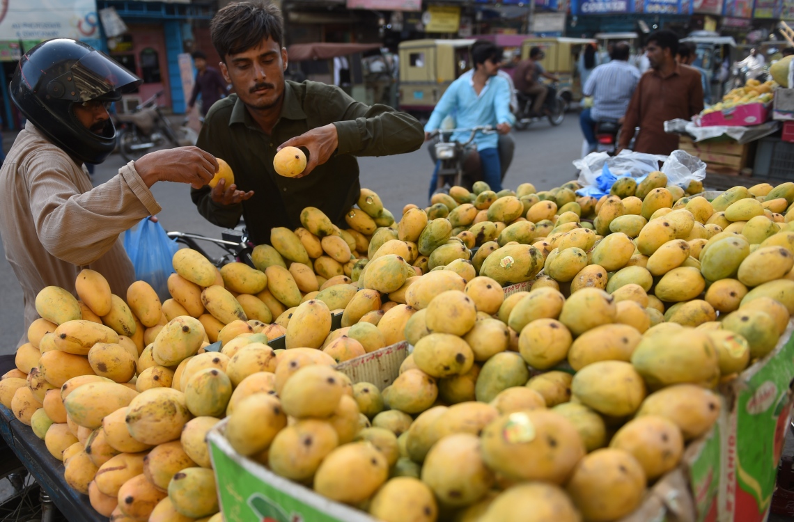 ކަރާޗީ: ޖޫން 7، 2016: ރަމަޟާން މަހު ފުރަތަމަ ދުވަހު ޕާކިސްތާނު މީހަކު ކަރާޗީގެ މާރުކޭޓުން އަނބު ގަންނަނީ.-- ފޮޓޯ: އޭއެފްޕީ