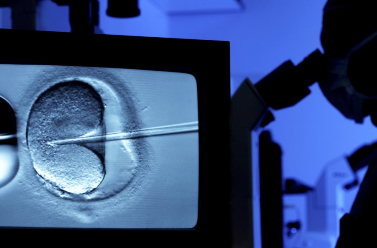 އައިވީއެފް ކާމިޔާބުވުމަށް ރޯދަ އަކީ އެހީއެއް